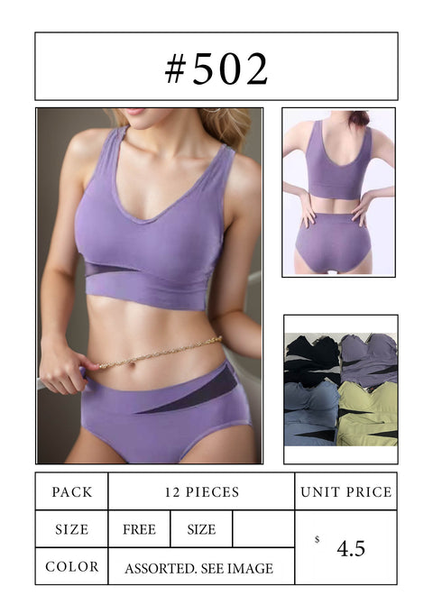 #502 Sprot Bra and Brief Set