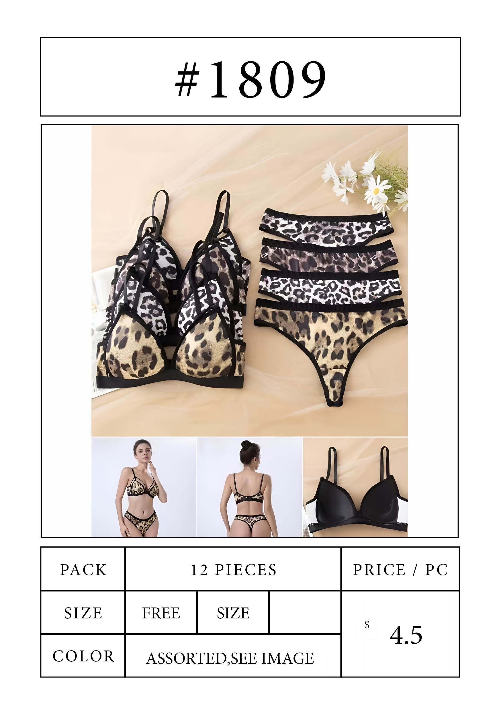 cougars in sexy lingerie Size 12 Sexy Lingerie | Sexy Underwear for Women main image 0