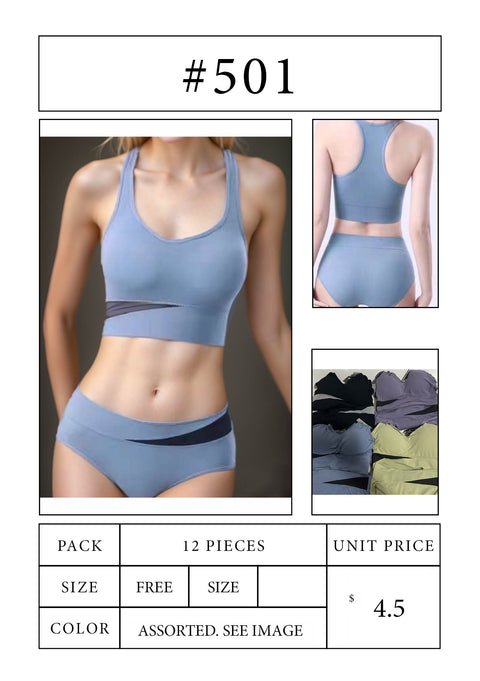 #501 Sprot Bra and Brief Set